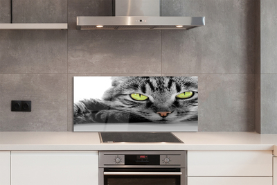 Painel de vidro Gato cinza e preto