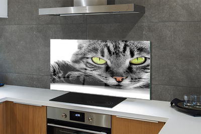 Painel de vidro Gato cinza e preto