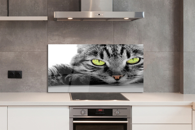Painel de vidro Gato cinza e preto
