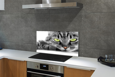 Painel de vidro Gato cinza e preto