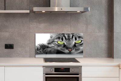 Painel de vidro Gato cinza e preto