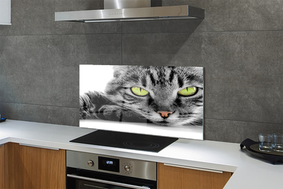 Painel de vidro Gato cinza e preto