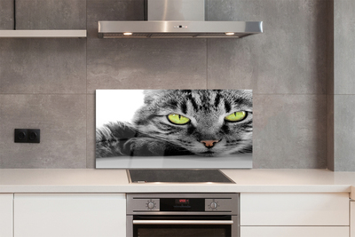 Painel de vidro Gato cinza e preto