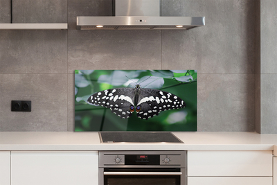 Painel de vidro Folhas coloridas de borboletas