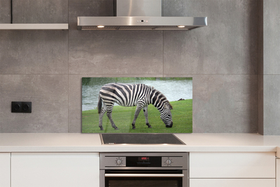 Painel de vidro Costelas