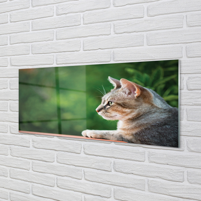Painel de vidro O Gato Olhando