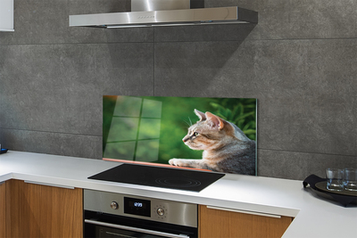 Painel de vidro O Gato Olhando