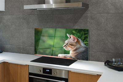 Painel de vidro O Gato Olhando