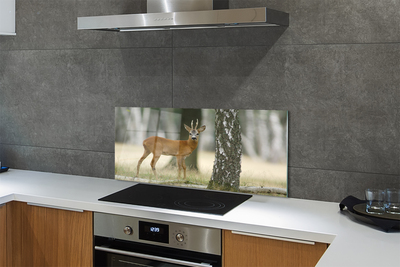 Painel de vidro Floresta de veados