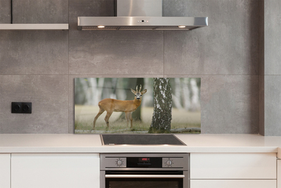 Painel de vidro Floresta de veados