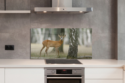 Painel de vidro Floresta de veados