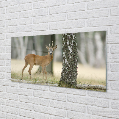 Painel de vidro Floresta de veados