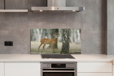 Painel de vidro Floresta de veados