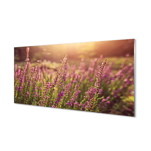 Painel de vidro Campo de urze