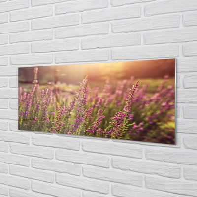 Painel de vidro Campo de urze