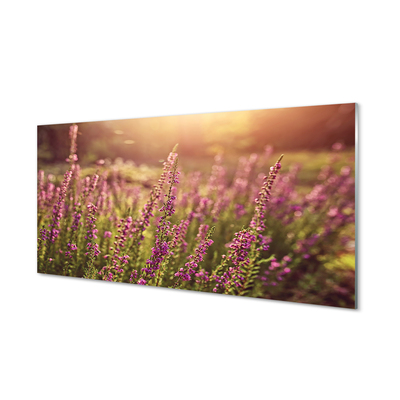 Painel de vidro Campo de urze