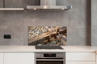 Painel de vidro Cruz, pedras, espinhos