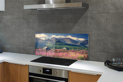 Painel de vidro Montanhas, campos, casas