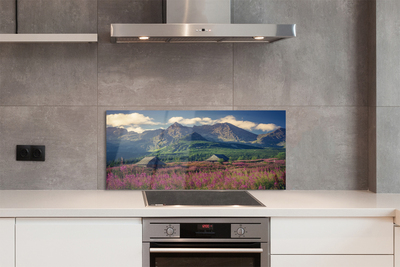 Painel de vidro Montanhas, campos, casas