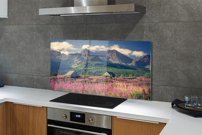 Painel de vidro Montanhas, campos, casas