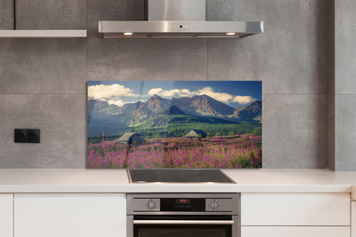 Painel de vidro Montanhas, campos, casas