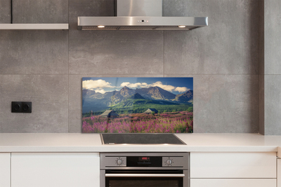 Painel de vidro Montanhas, campos, casas