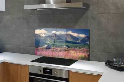 Painel de vidro Montanhas, campos, casas