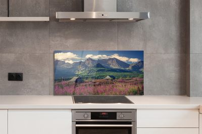 Painel de vidro Montanhas, campos, casas