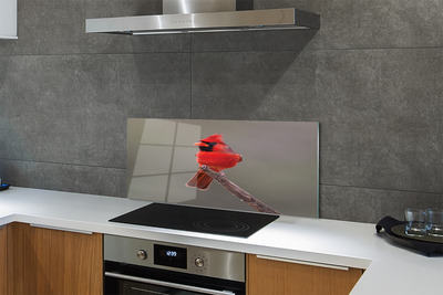 Painel de vidro Papagaio vermelho em um galho