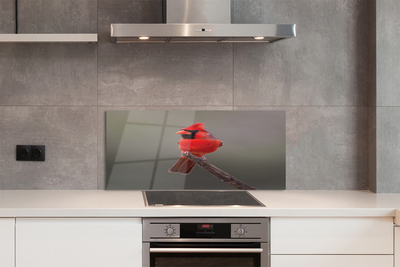 Painel de vidro Papagaio vermelho em um galho