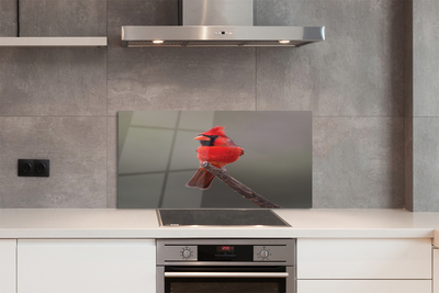 Painel de vidro Papagaio vermelho em um galho