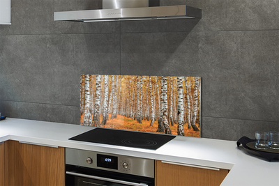 Painel de vidro Árvores de outono