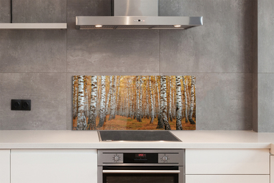 Painel de vidro Árvores de outono