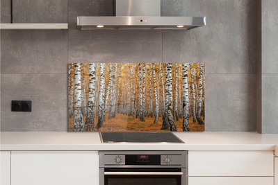 Painel de vidro Árvores de outono