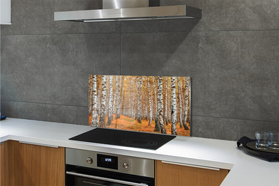 Painel de vidro Árvores de outono