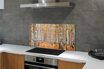 Painel de vidro Árvores de outono