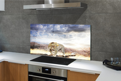 Painel de vidro Pantera das Nuvens