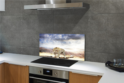 Painel de vidro Pantera das Nuvens