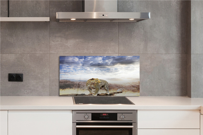 Painel de vidro Pantera das Nuvens