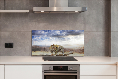 Painel de vidro Pantera das Nuvens