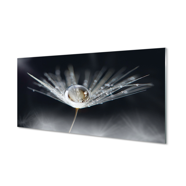 Painel de vidro Macro de gota de dente-de-leão