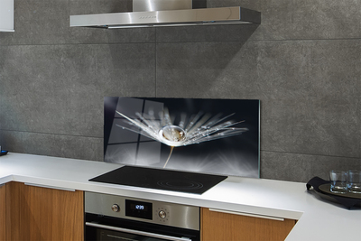 Painel de vidro Macro de gota de dente-de-leão