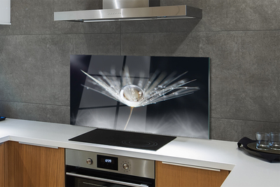 Painel de vidro Macro de gota de dente-de-leão