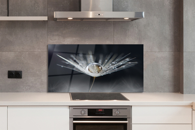 Painel de vidro Macro de gota de dente-de-leão