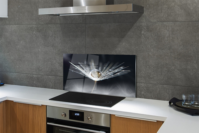 Painel de vidro Macro de gota de dente-de-leão