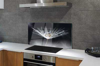 Painel de vidro Macro de gota de dente-de-leão