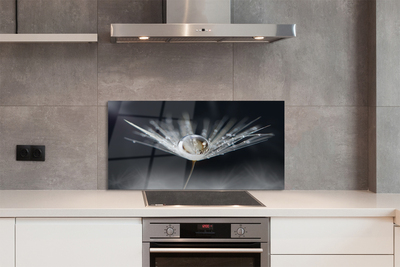 Painel de vidro Macro de gota de dente-de-leão