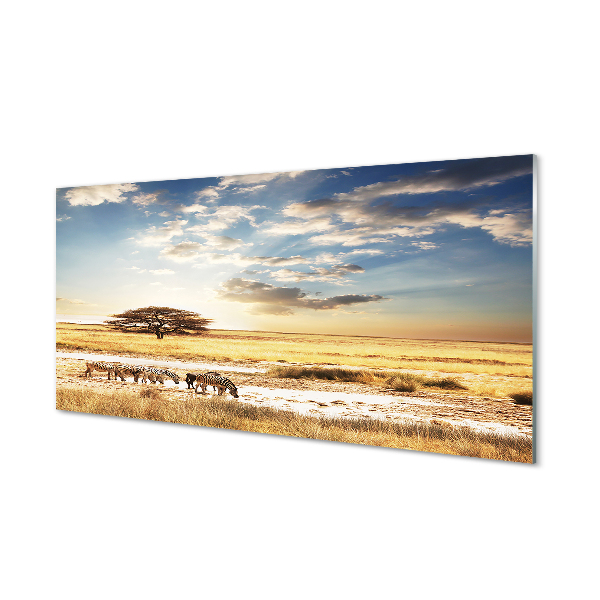 Painel de vidro Árvore de nuvens de zebras