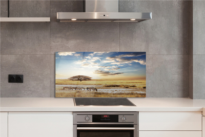 Painel de vidro Árvore de nuvens de zebras