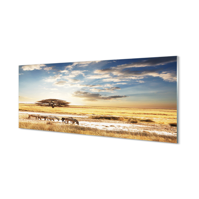 Painel de vidro Árvore de nuvens de zebras